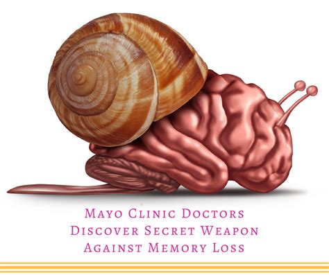 what does mayo clinic recommend for memory